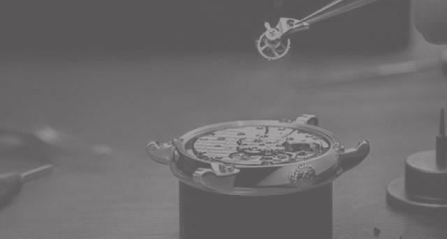 帕玛强尼中心介绍